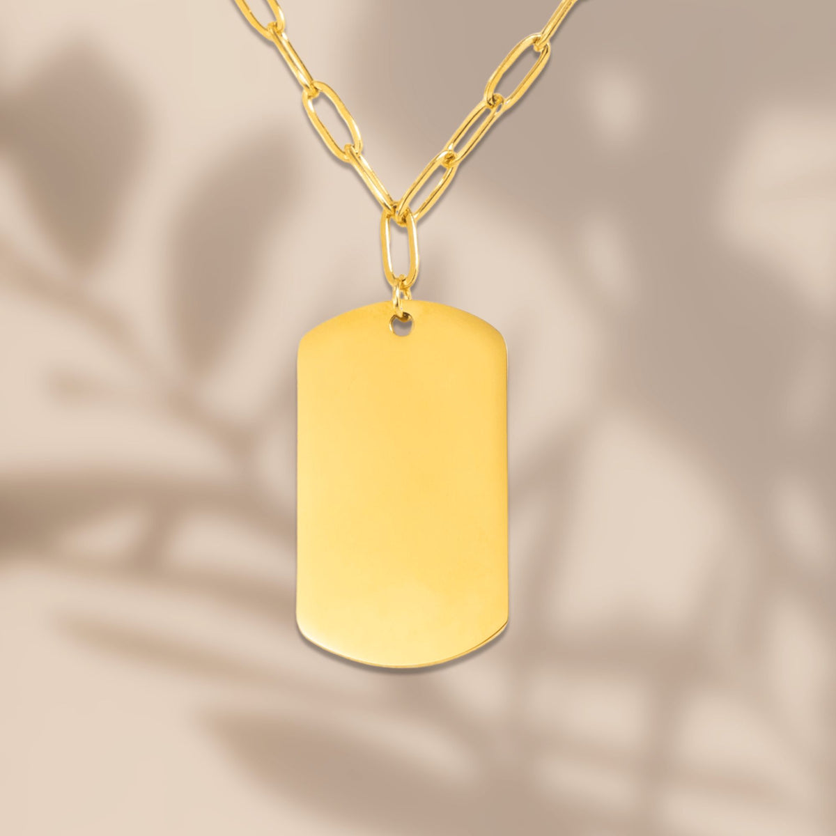 Collier trombone plaque